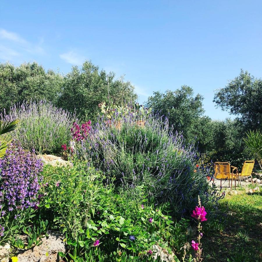 Casa Della Scrittrice Bed & Breakfast Ostuni Luaran gambar