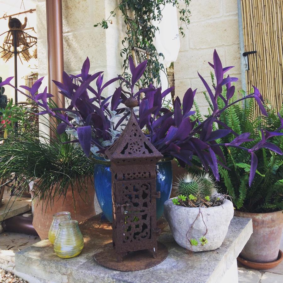 Casa Della Scrittrice Bed & Breakfast Ostuni Luaran gambar