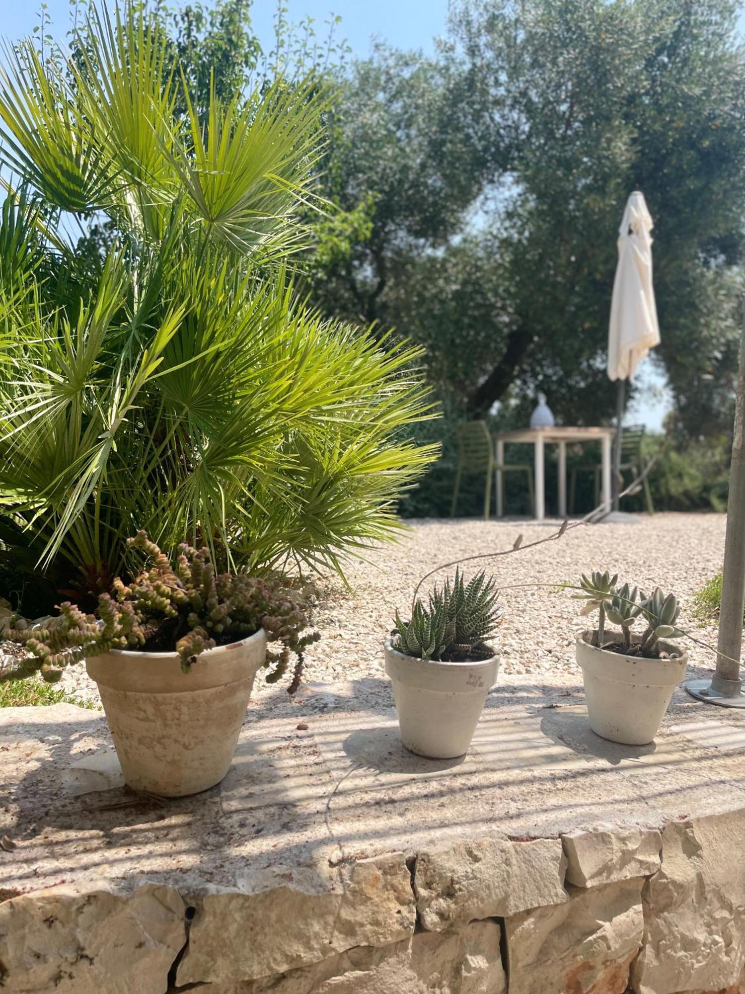 Casa Della Scrittrice Bed & Breakfast Ostuni Bilik gambar